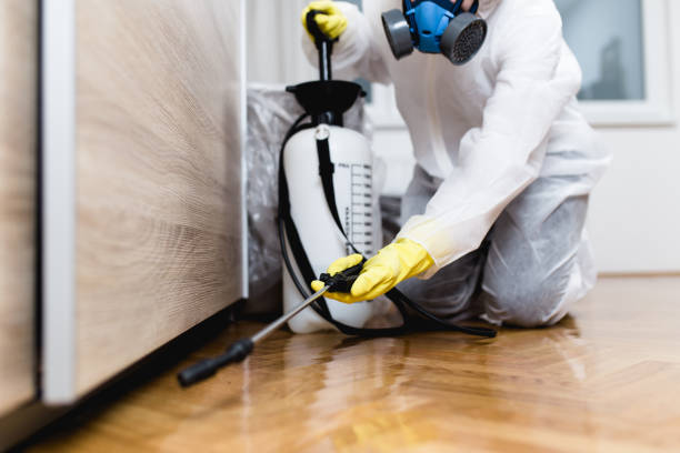 Best Bed Bug Extermination  in Fort Polk North, LA