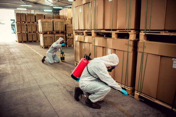 Best Commercial Pest Control Services  in Fort Polk North, LA