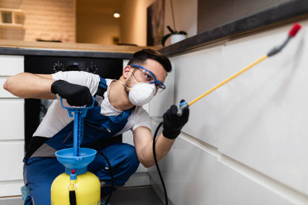 Best Insect Control  in Fort Polk North, LA