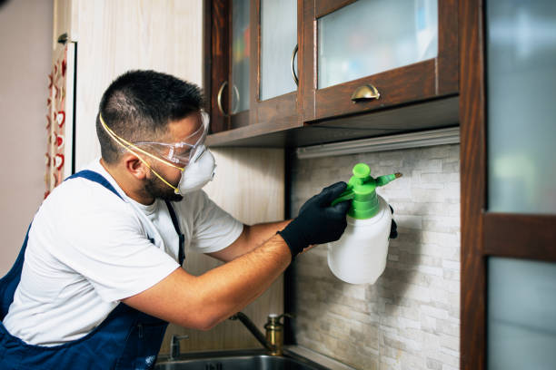 Best Best Pest Control Companies  in Fort Polk North, LA