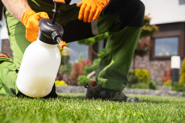 Best Termite Control Services  in Fort Polk North, LA