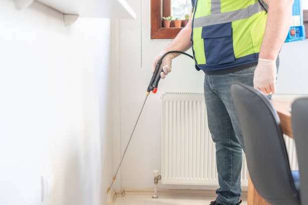 Best Termite Control Services  in Fort Polk North, LA