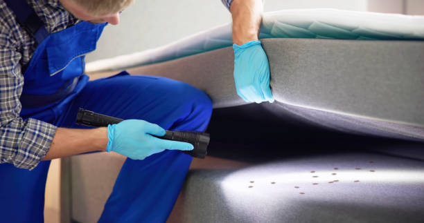 Best Pest Inspection Near Me  in Fort Polk North, LA