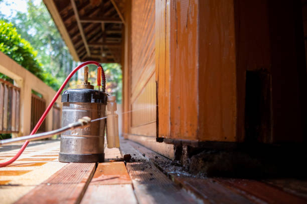 Best Cockroach Control Services  in Fort Polk North, LA