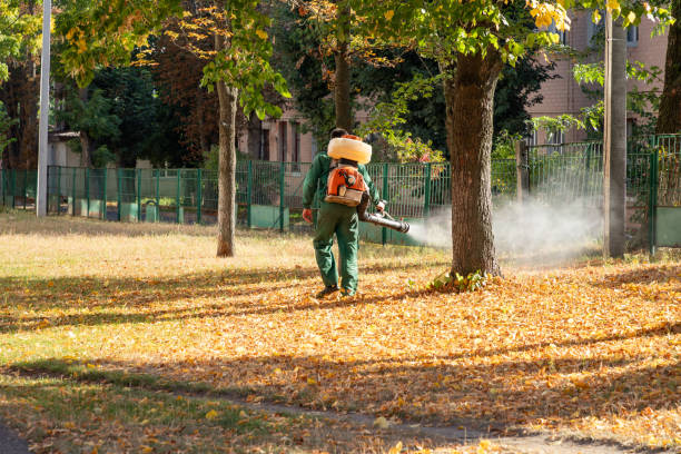 Best Pest Removal Services  in Fort Polk North, LA