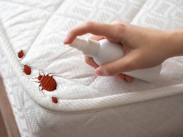Best Affordable Pest Control Services  in Fort Polk North, LA