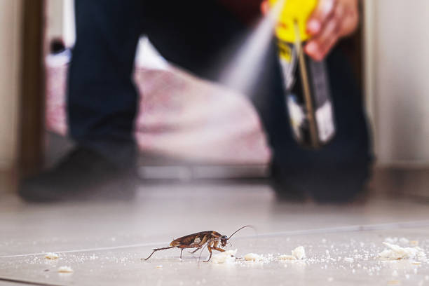 Best Emergency Pest Control  in Fort Polk North, LA