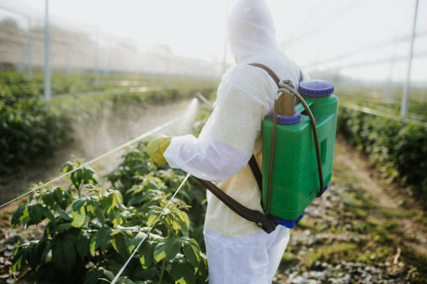 Best Pest Inspection Near Me  in Fort Polk North, LA